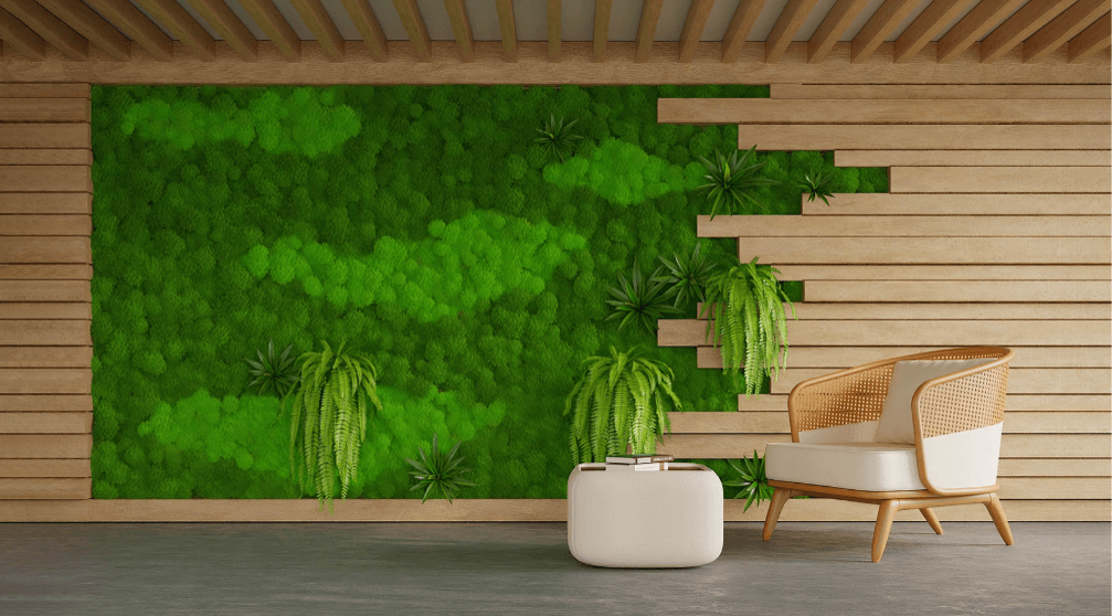 moss wall plants